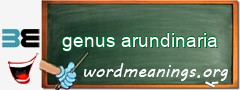 WordMeaning blackboard for genus arundinaria